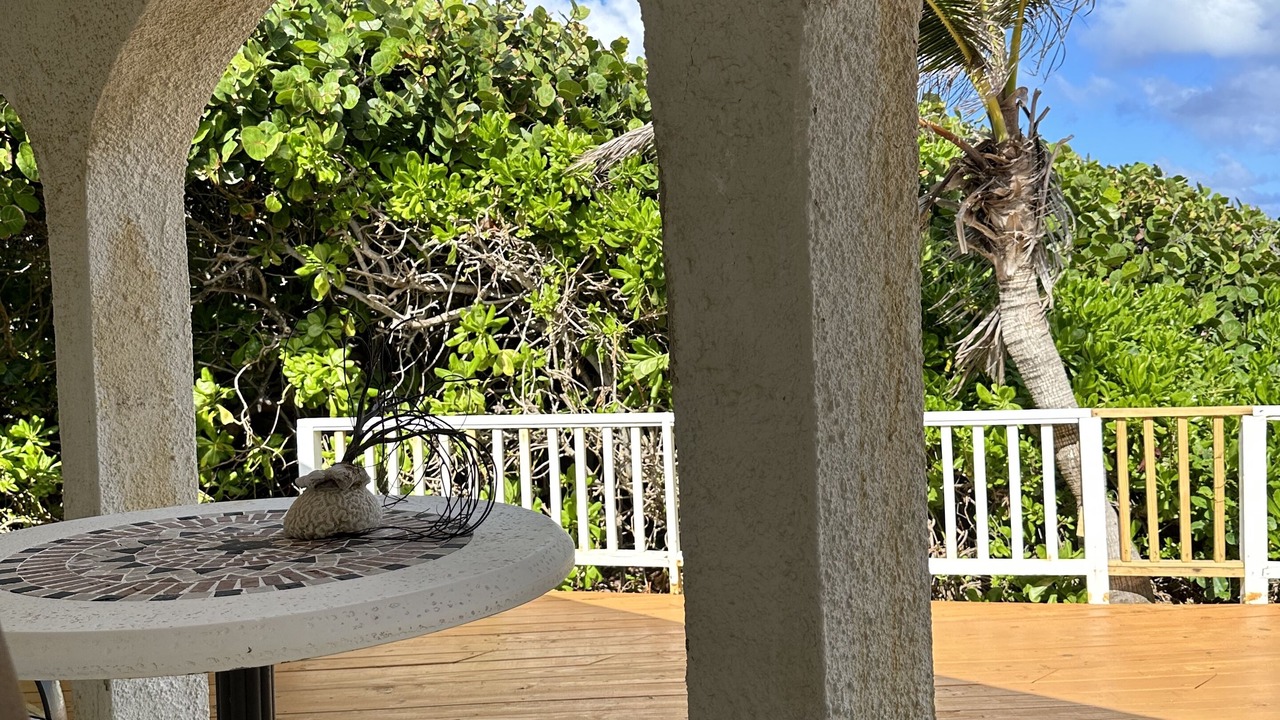 Photo of Patio Balcony in La Grande Princesse