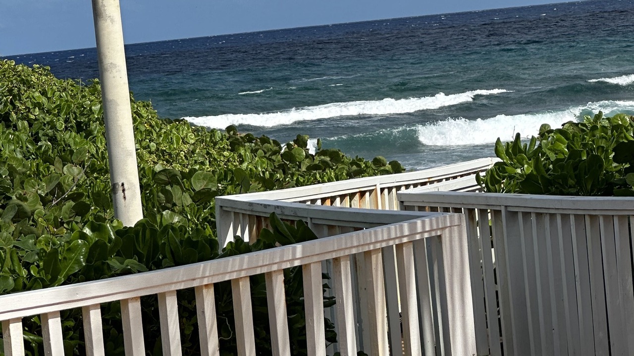 Photo of Outdoor in La Grande Princesse