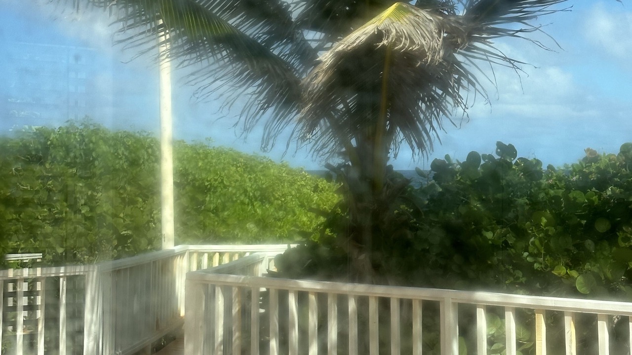 Photo of Outdoor in La Grande Princesse