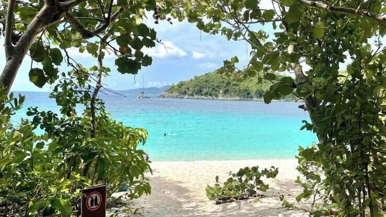 Photo of Others in Great Cruz Bay