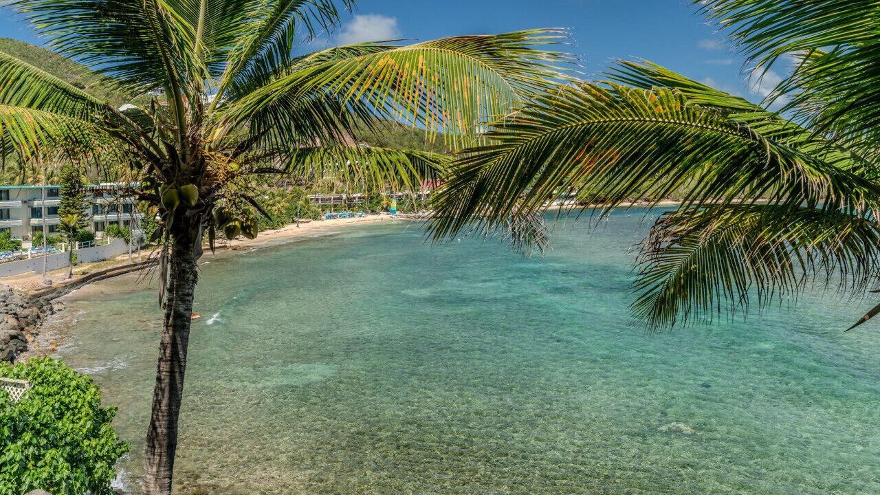 Photo of Others in Bolongo Bay