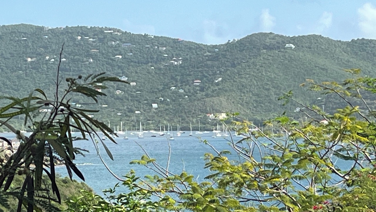 Photo of Others in Estate Saint Quaco and Zimmerman