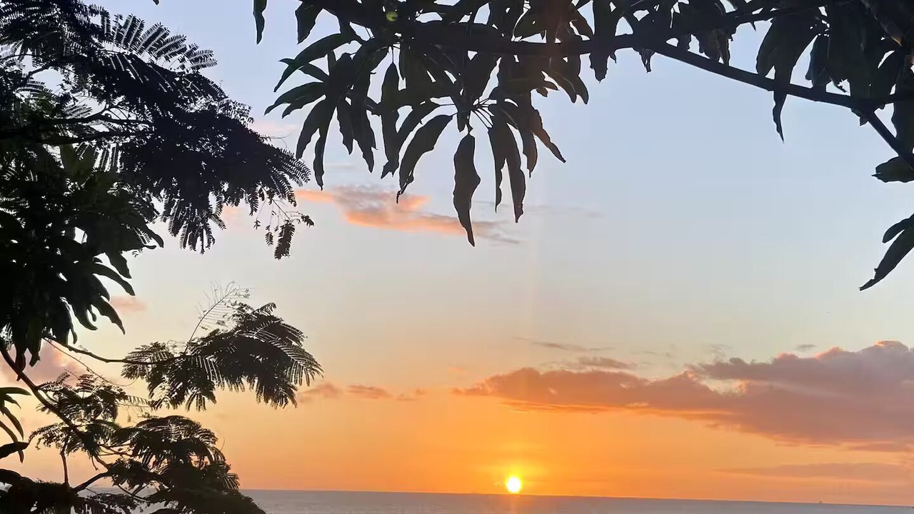 Photo of Others in South Coast