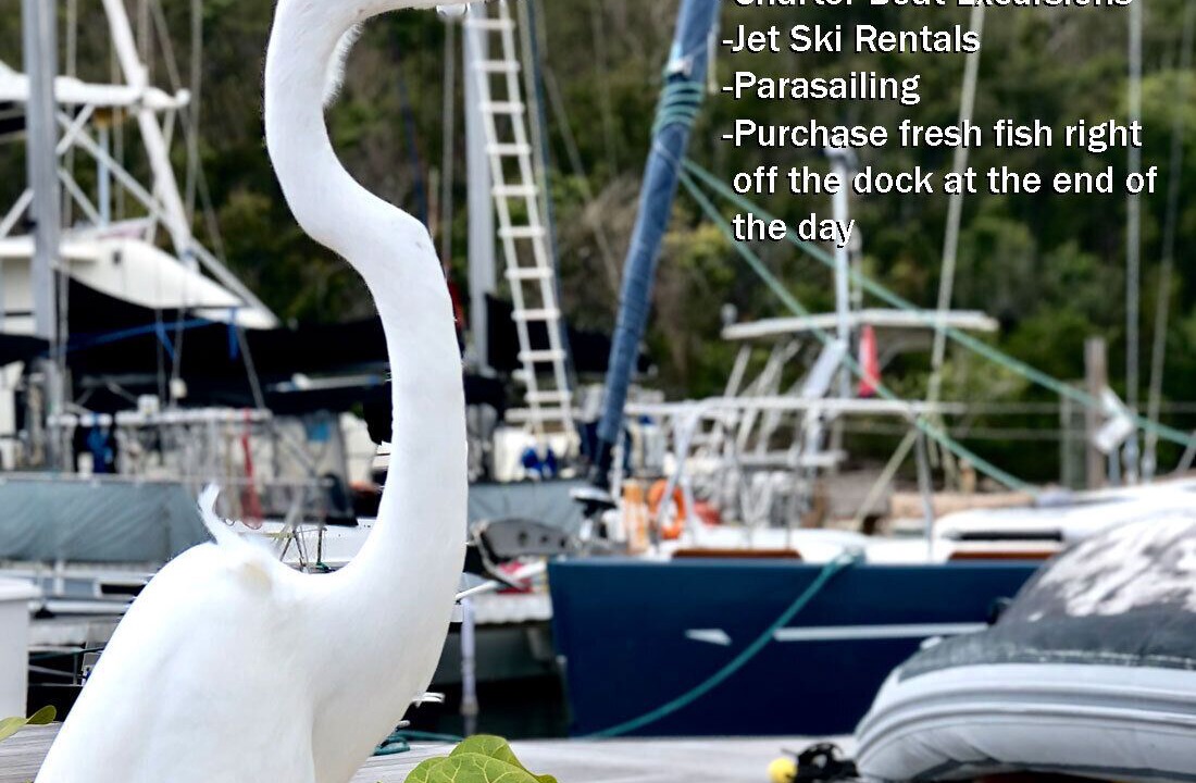 Photo of Others in Estate Smith Bay