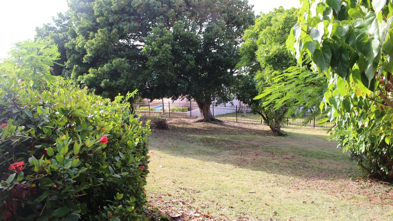 Photo of Outdoor in Estate Shoys