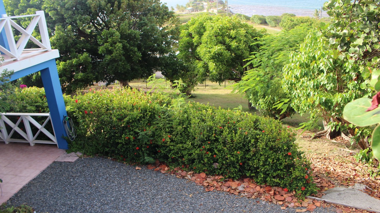 Photo of Outdoor in Estate Shoys
