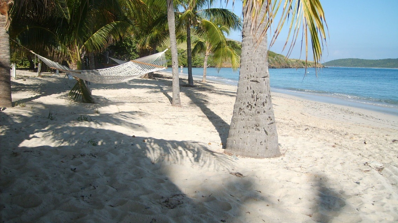 Photo of Others in Cotton Valley Shores