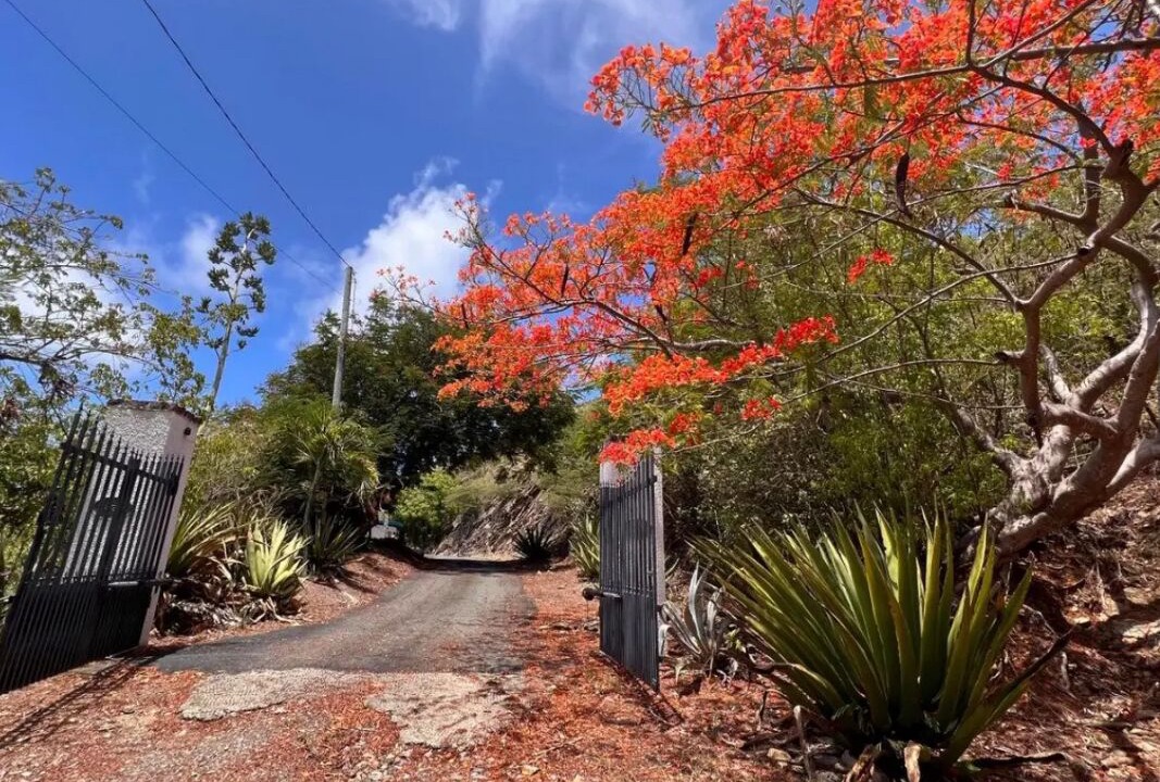 Photo of Outdoor in Cotton Valley