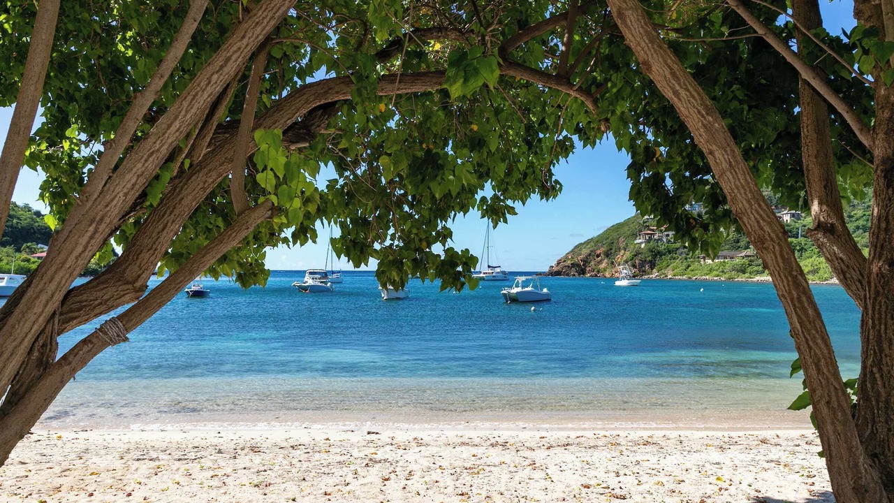 Photo of Others in Estate Chocolate Hole and Great Cruz Bay