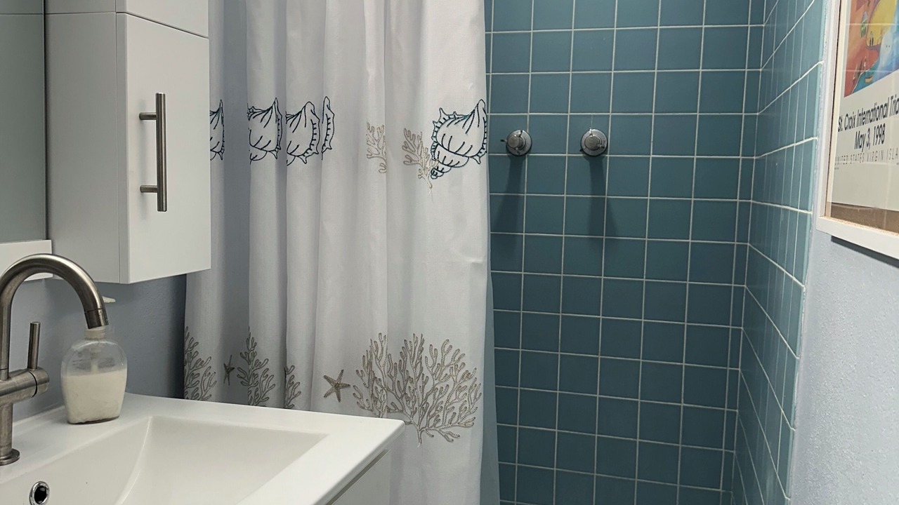 Photo of Bathroom in Slob