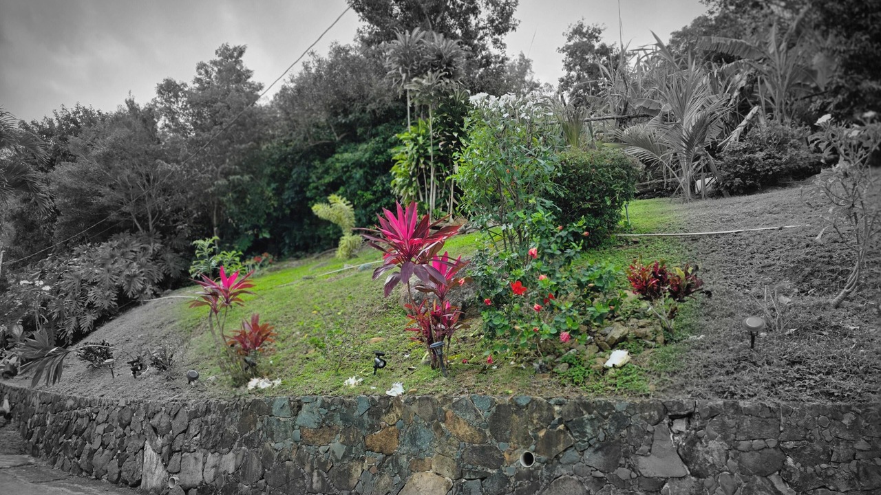 Photo of Outdoor in Estate Lerkenlund