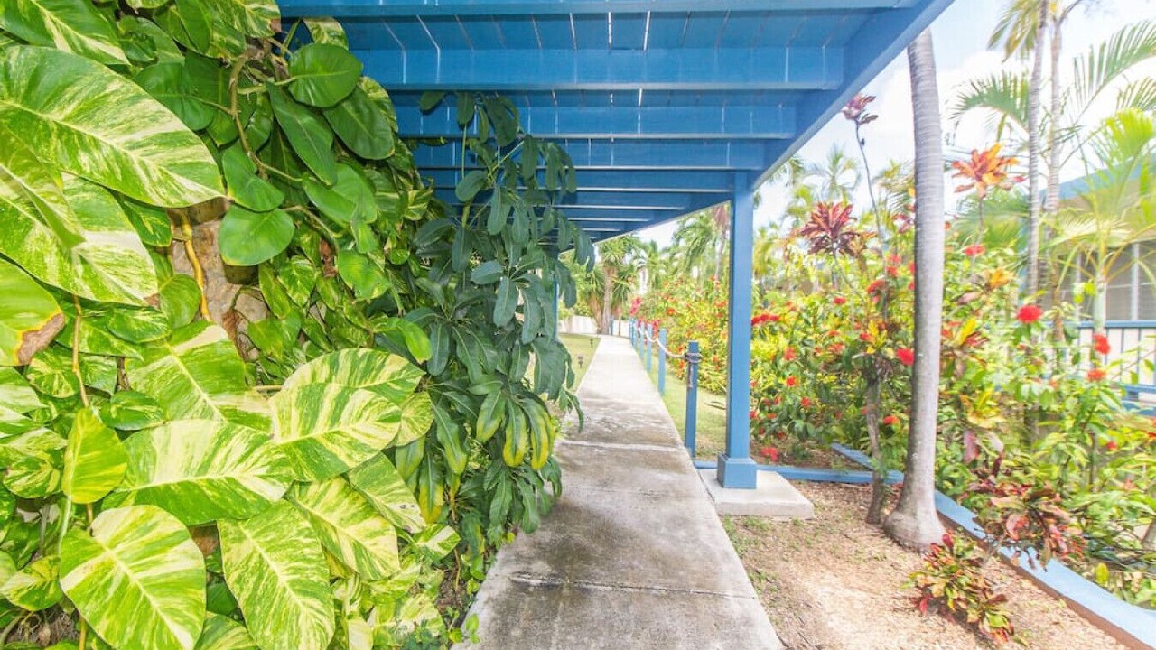 Photo of Outdoor in Estate Little Princess South