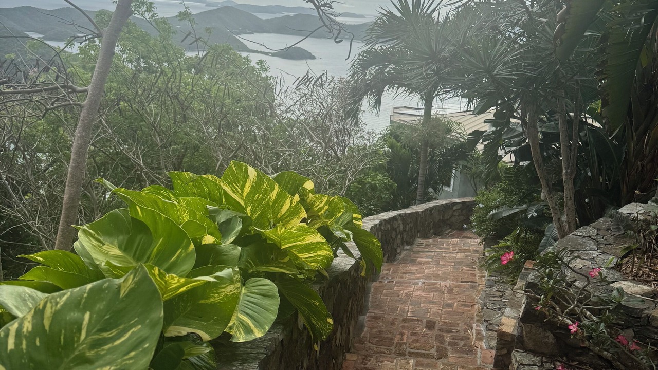 Photo of Outdoor in Estate Little Plantation