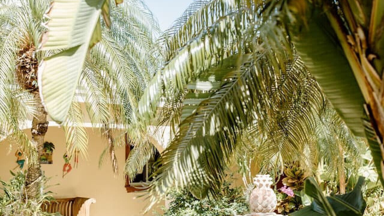 Photo of Patio Balcony in Testman