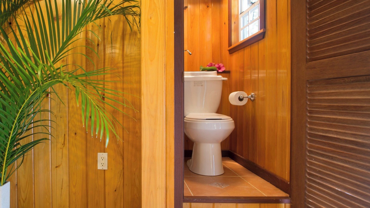Photo of Bathroom in Lower Carolina
