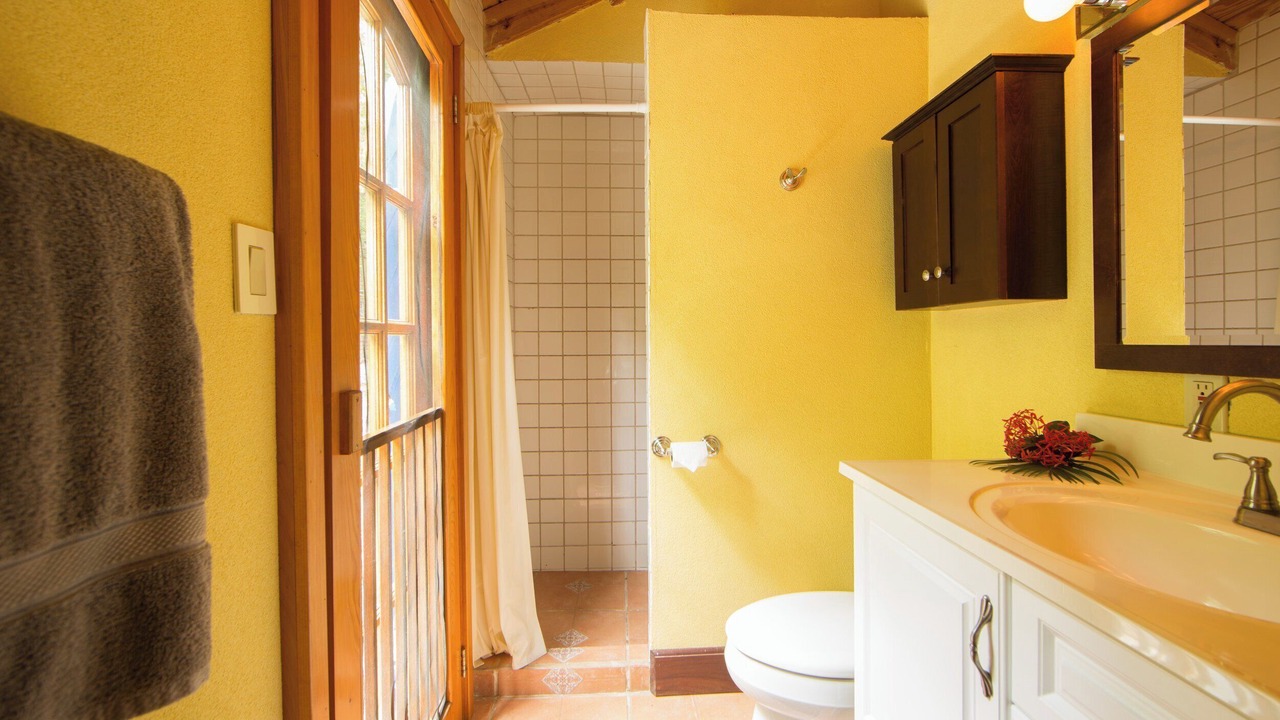 Photo of Bathroom in Lower Carolina