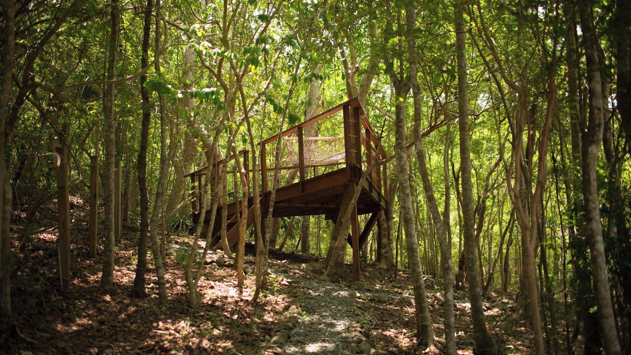 Photo of Outdoor in Lower Carolina