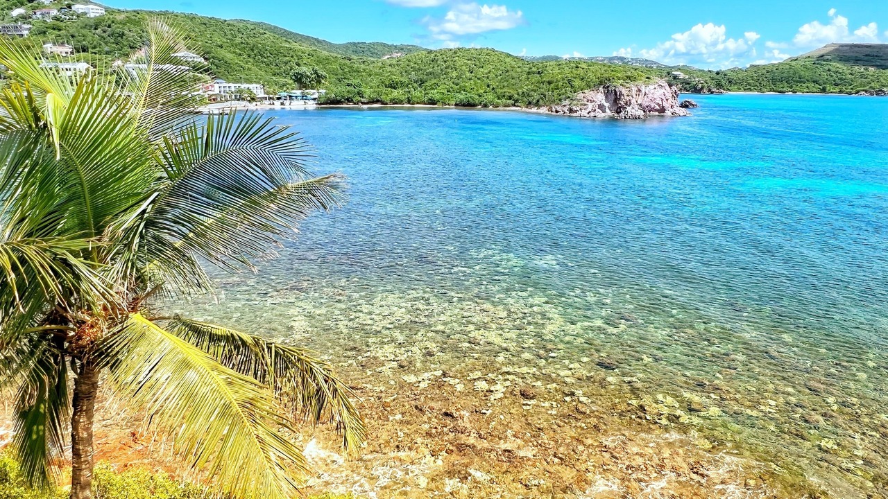 Photo of Others in Bolongo Bay