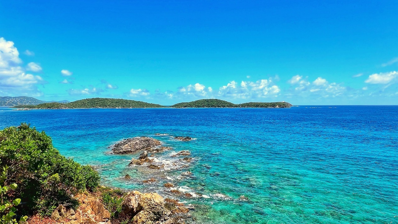 Photo of Others in Bolongo Bay