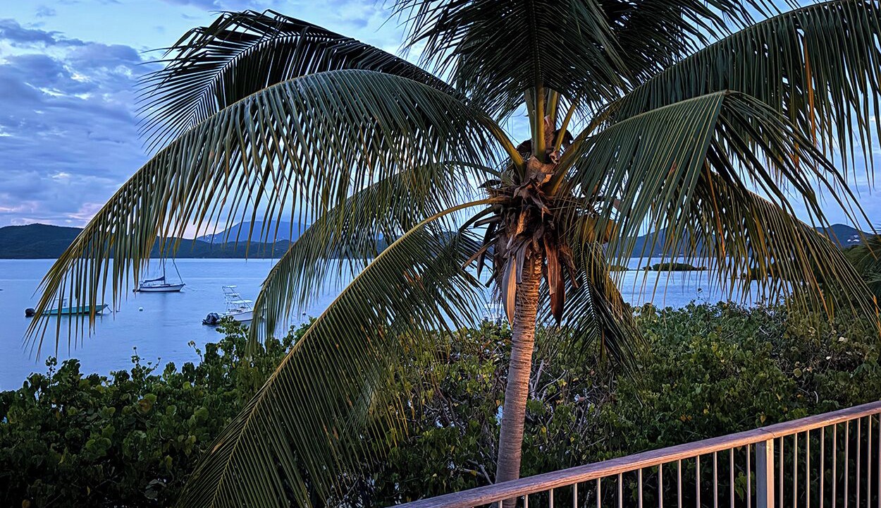 Photo of Others in Estate Saint Quaco and Zimmerman