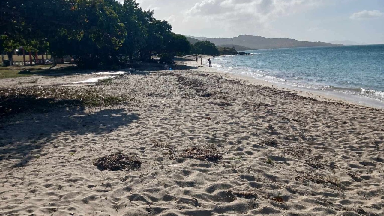 Photo of Others in Christiansted