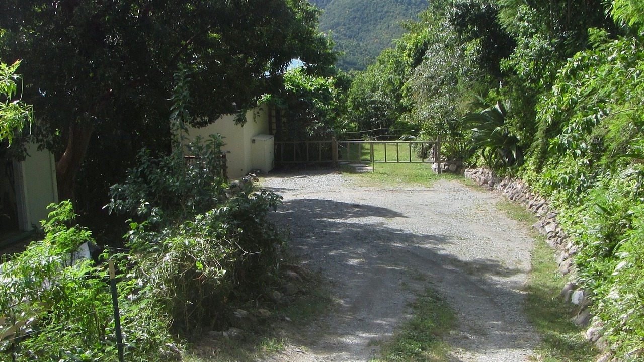Photo of Others in Upper Carolina