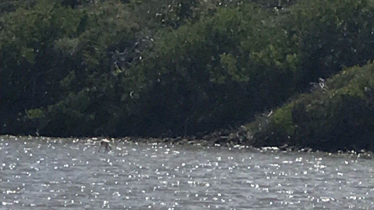 Photo of Others in Estate Concordia A