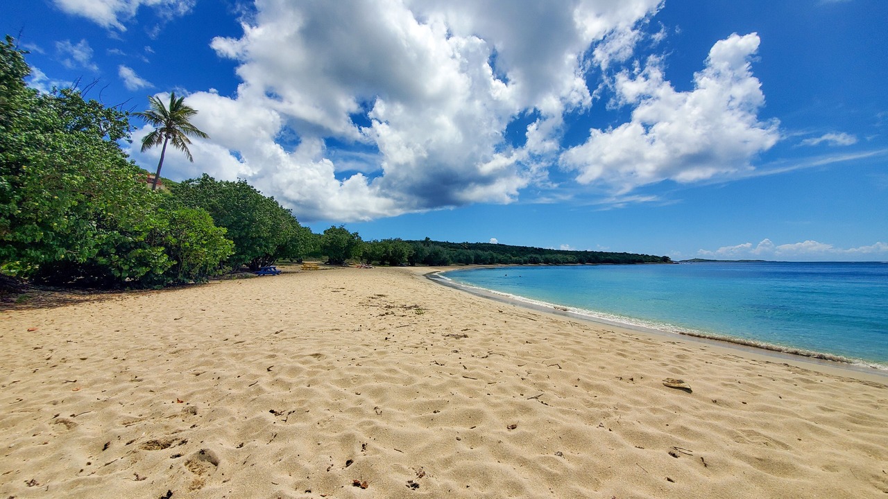 Photo of Others in Estate Frenchman Bay