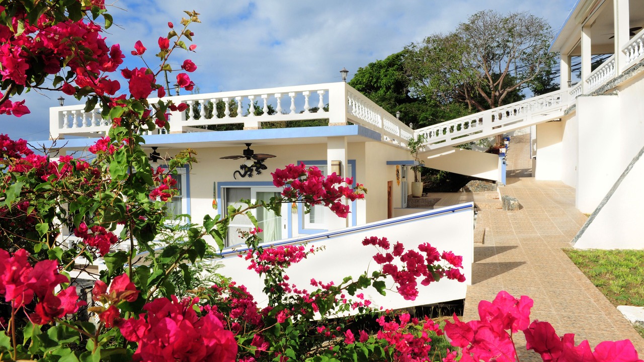 Photo of Outdoor in Estate Lilliendal and Marienhoj