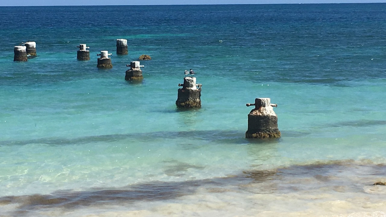 Photo of Others in Estate Frenchman Bay