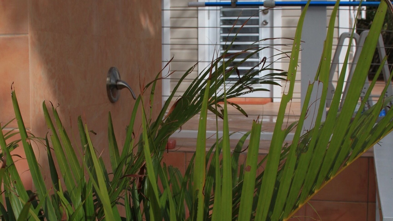 Photo of Outdoor in Estate Carolina