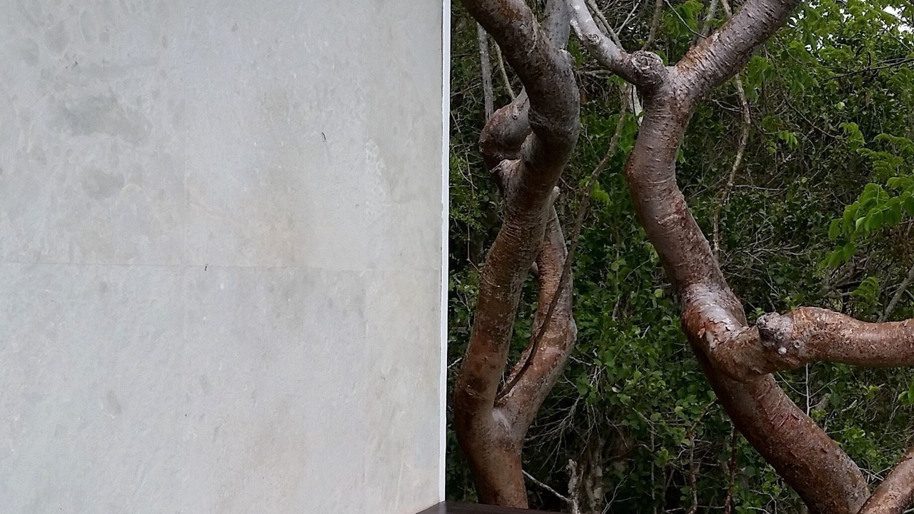 Photo of Outdoor in Estate Carolina