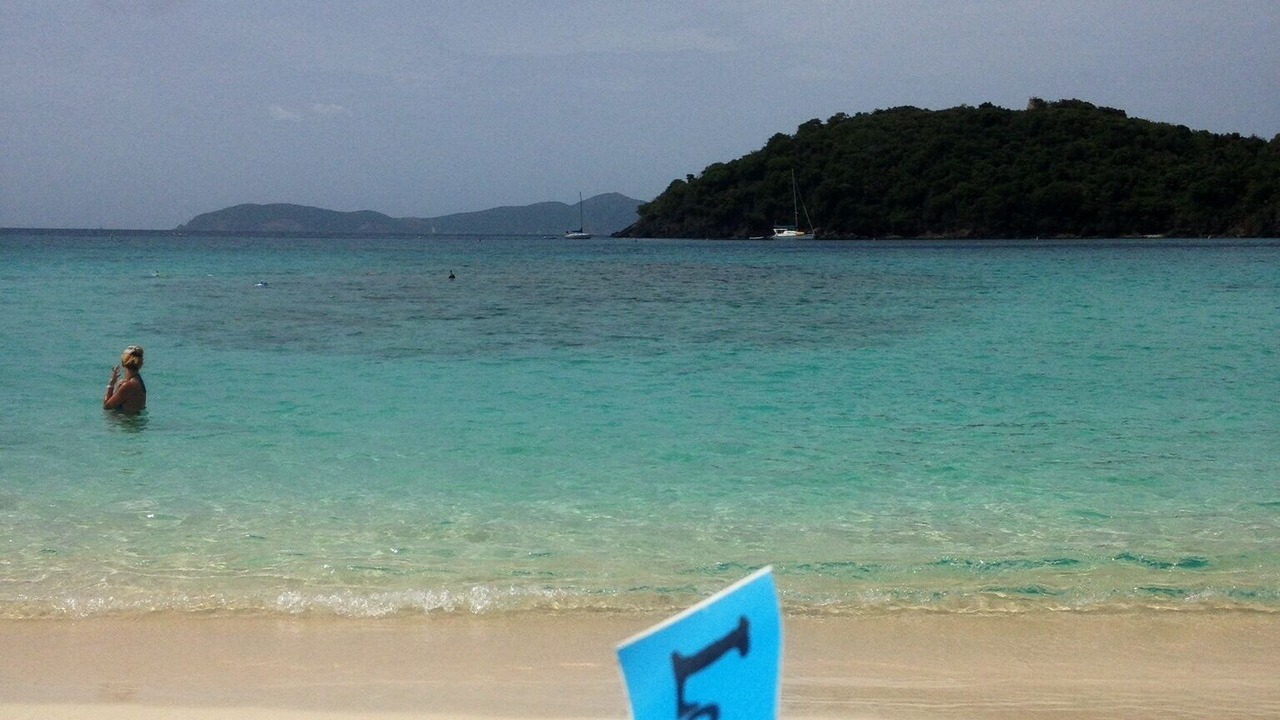Photo of Others in Fish Bay