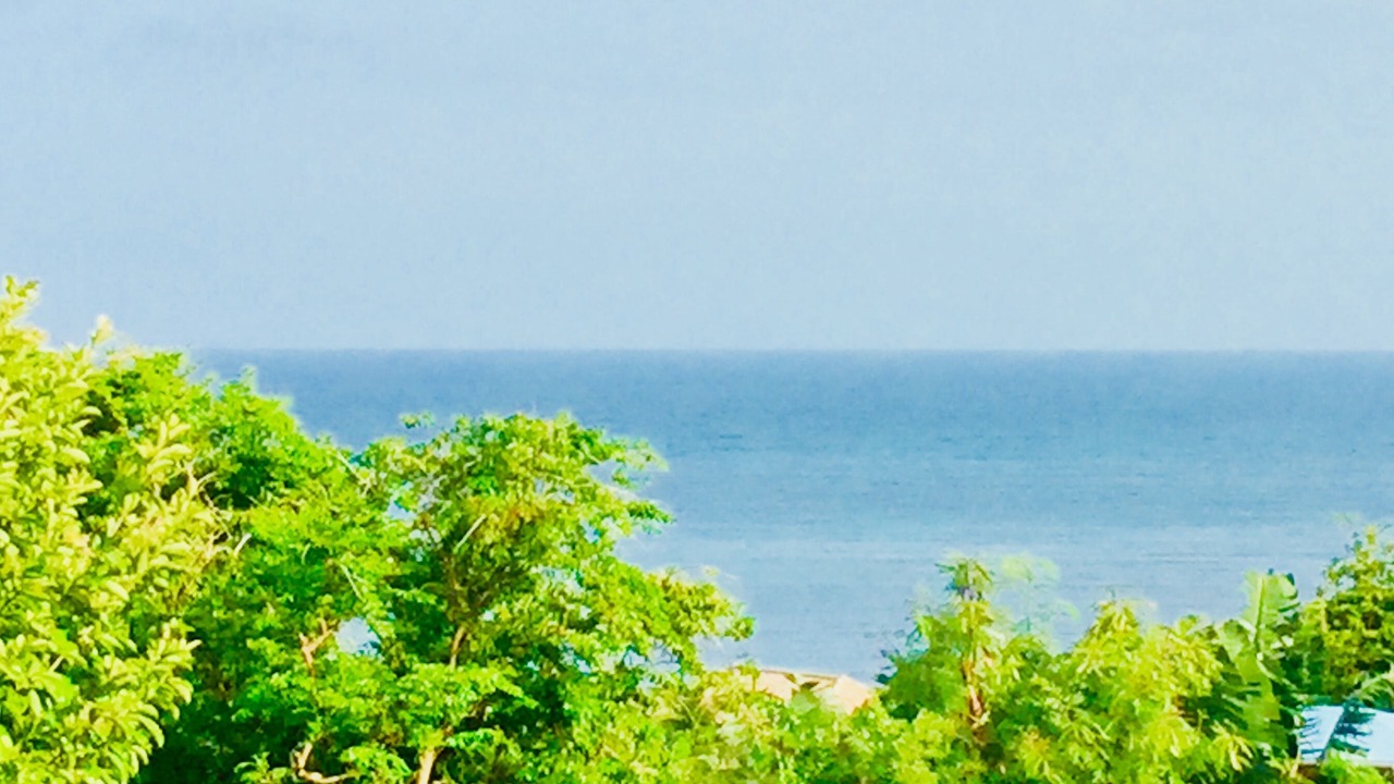 Photo of Others in Fish Bay