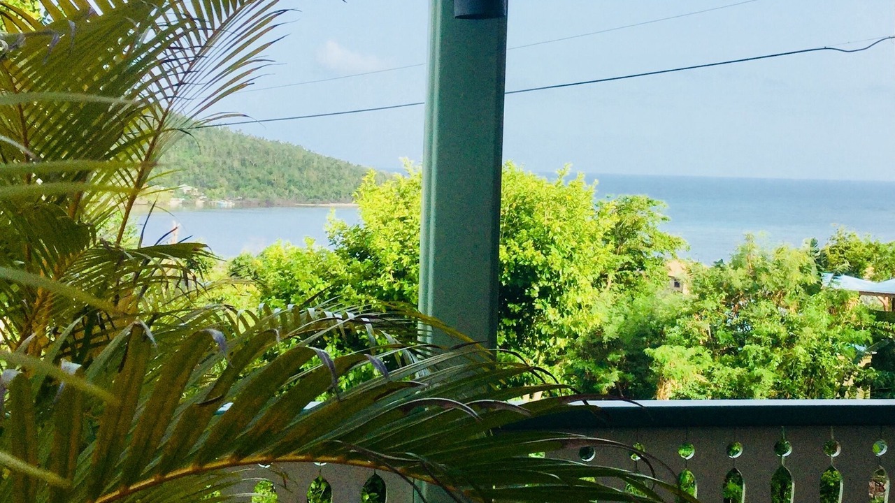 Photo of Outdoor in Fish Bay
