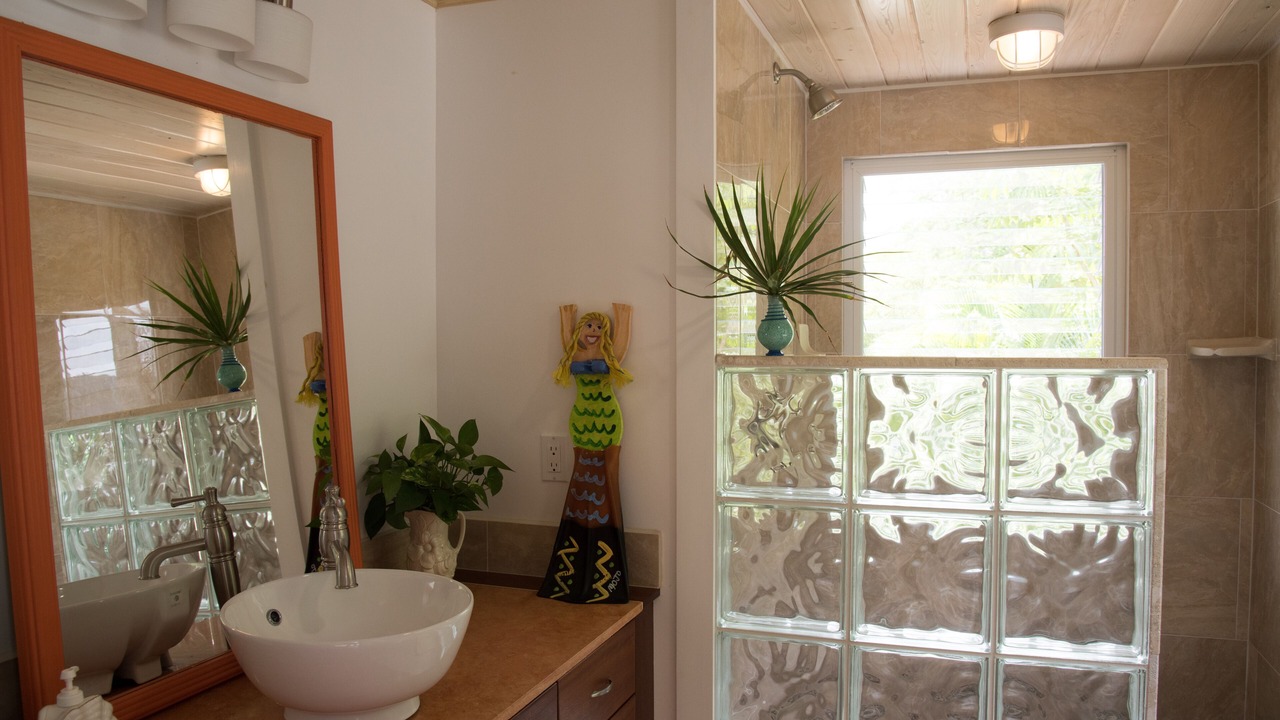 Photo of Bathroom in Ajax Peak