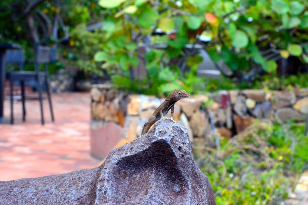 Photo of Others in Charlotte Amalie West