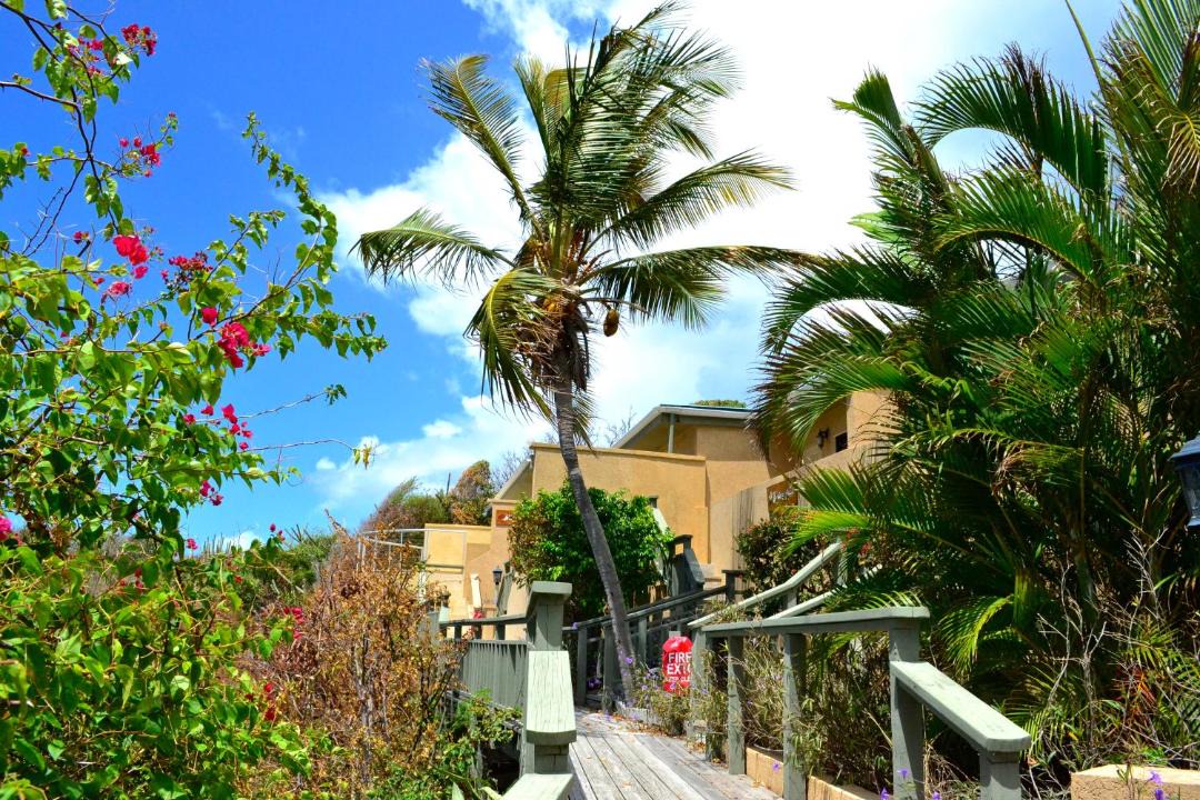 Photo of Others in Charlotte Amalie West