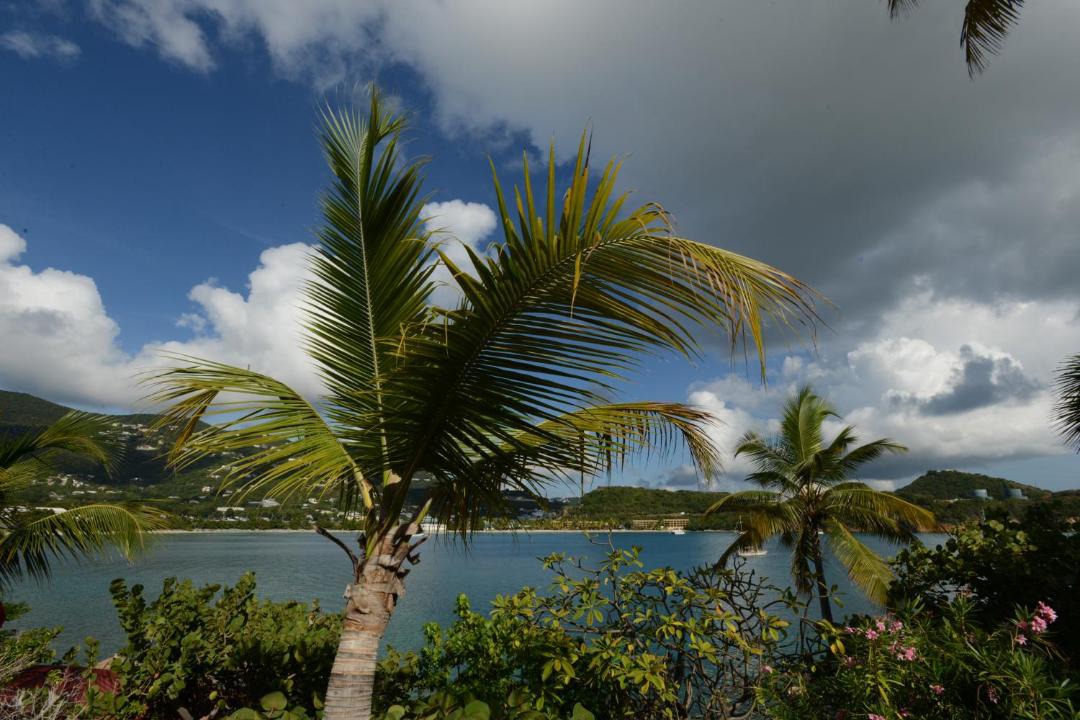 Photo of Others in Charlotte Amalie West