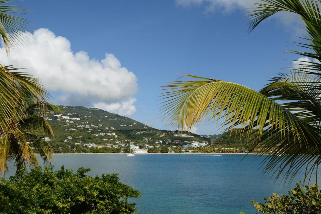 Photo of Others in Charlotte Amalie West