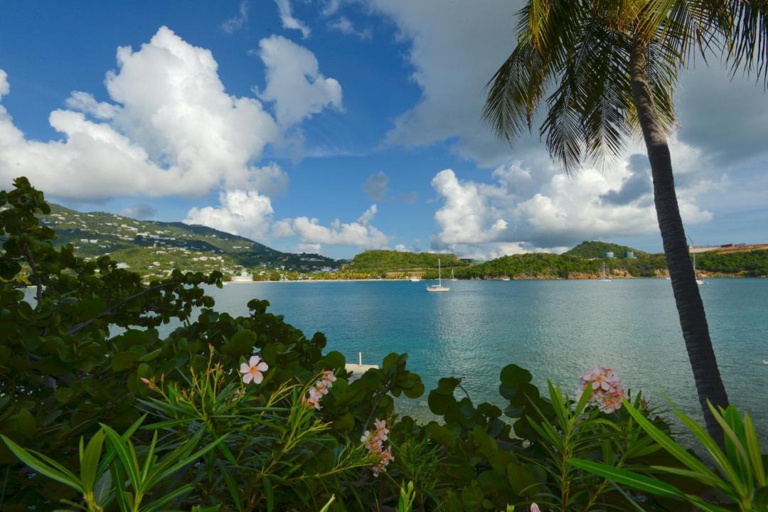 Photo of Others in Charlotte Amalie West