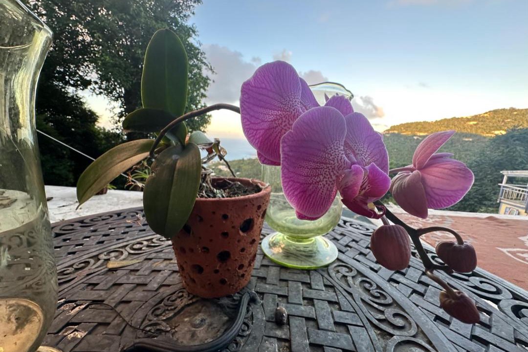 Photo of Patio Balcony in St. Thomas