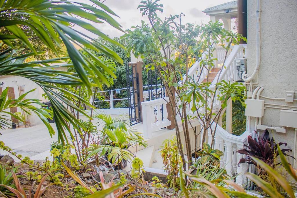 Photo of Patio Balcony in Estate Pastory