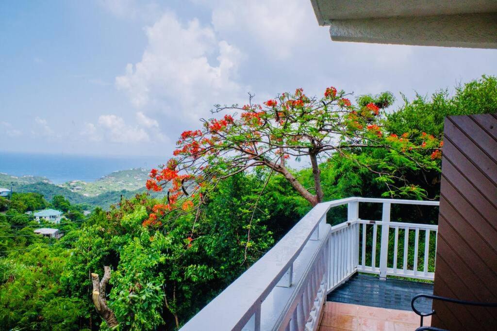 Photo of Patio Balcony in Estate Pastory