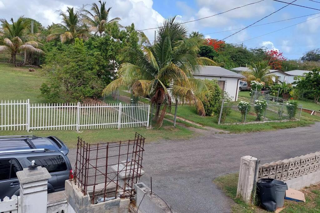 Photo of Others in Christiansted