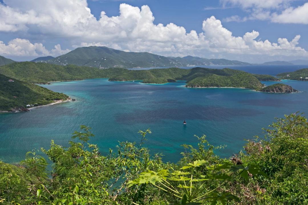Photo of Others in Johnson Bay