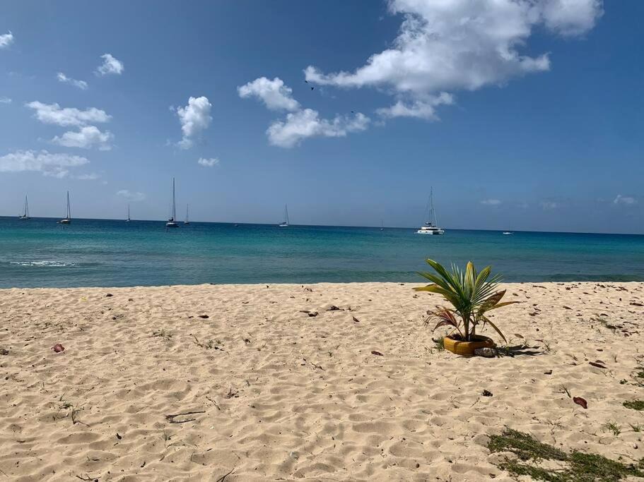 Photo of Outdoor in Frederiksted Southeast