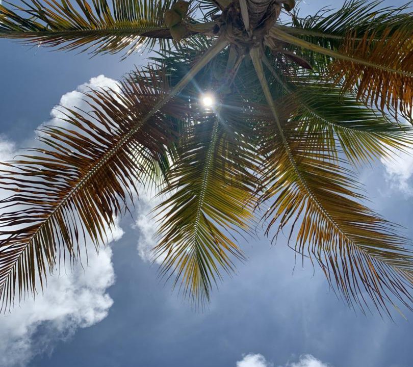 Photo of Outdoor in Frederiksted Southeast