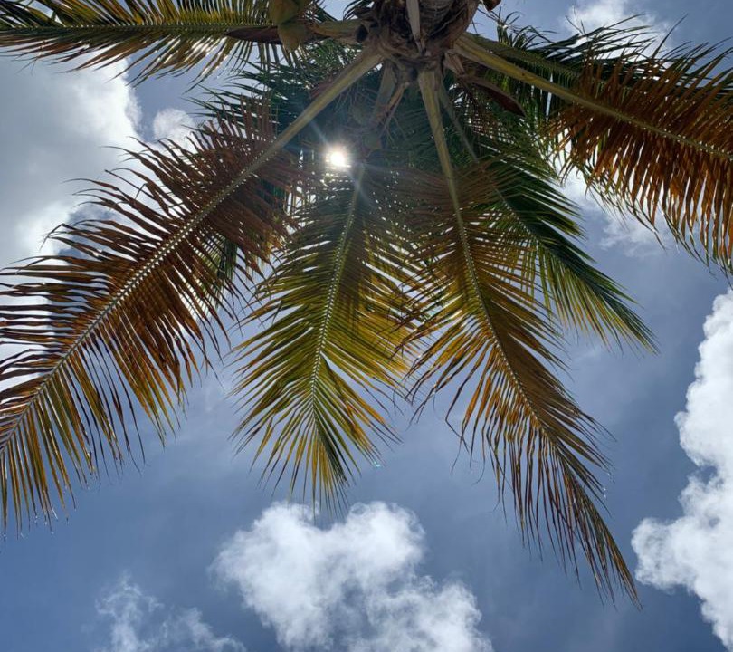 Photo of Outdoor in Frederiksted Southeast