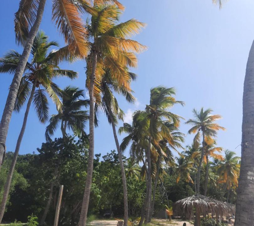 Photo of Others in Estate Western Water Island